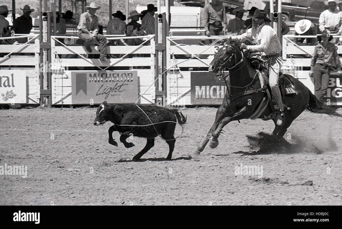 Springville, Rodeo in bianco e nero Tri-X 1992. (Foto di Jeremy Hogan) Foto Stock