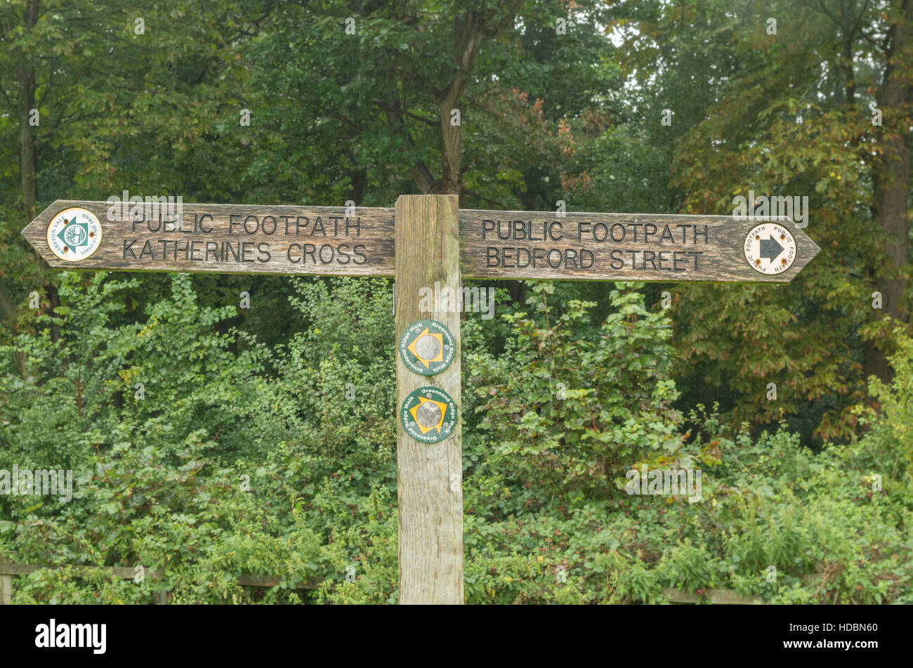 Una foto di un cartello in legno per un sentiero pubblico in un legno. Foto Stock