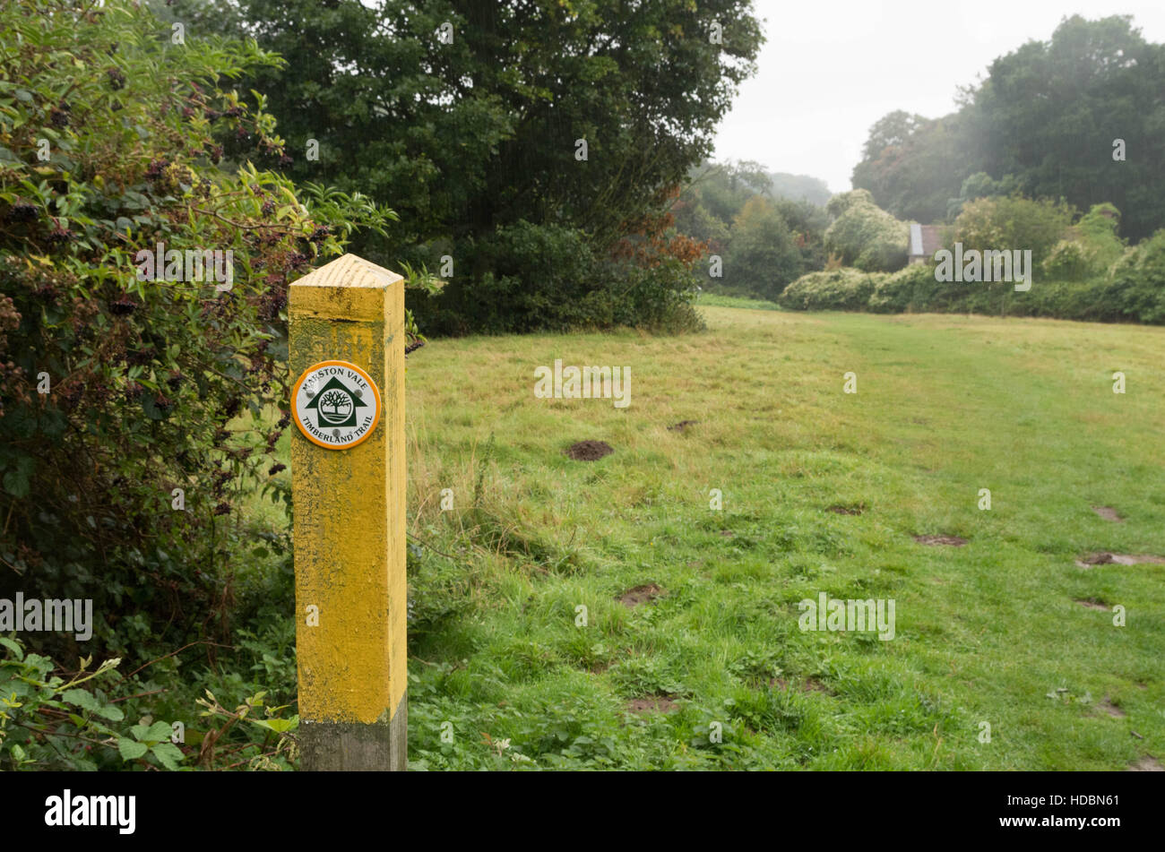 Una foto che mostra un waymarker che mostra la direzione di camminare lungo Marston Vale Timberland Trail. Foto Stock