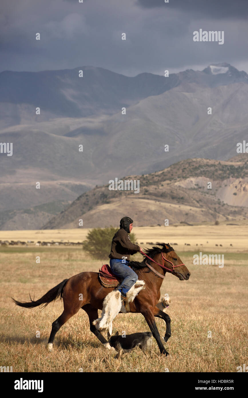 Rider portante carcassa di capra con una gamba a cavallo in Kokpar Tudabarai gioco vicino Aksu-Zhabagly Riserva Naturale Foto Stock