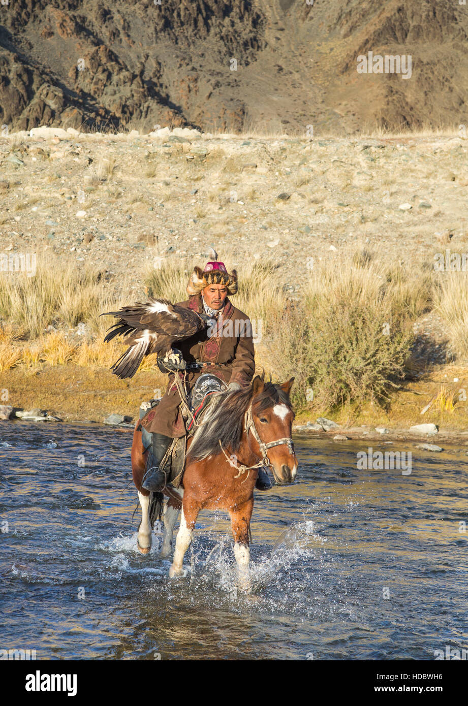 Il bayan Ulgii, Mongolia, Ottobre 2nd, 2015: vecchio cacciatore di EAGLE con la sua Altai Golden Eagle sul suo cavallo Foto Stock