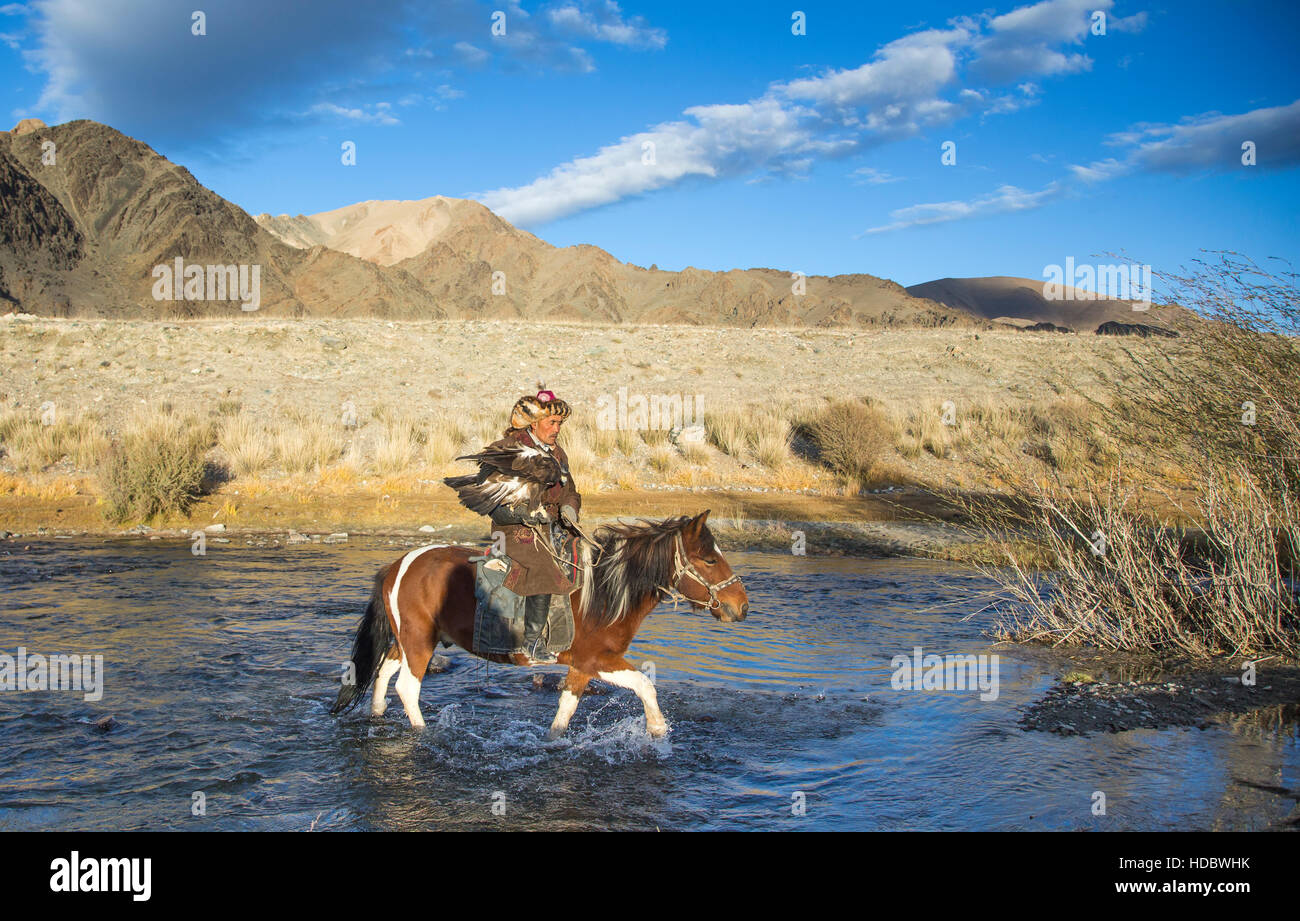 Il bayan Ulgii, Mongolia, Ottobre 2nd, 2015: vecchio cacciatore di EAGLE con la sua Altai Golden Eagle sul suo cavallo Foto Stock