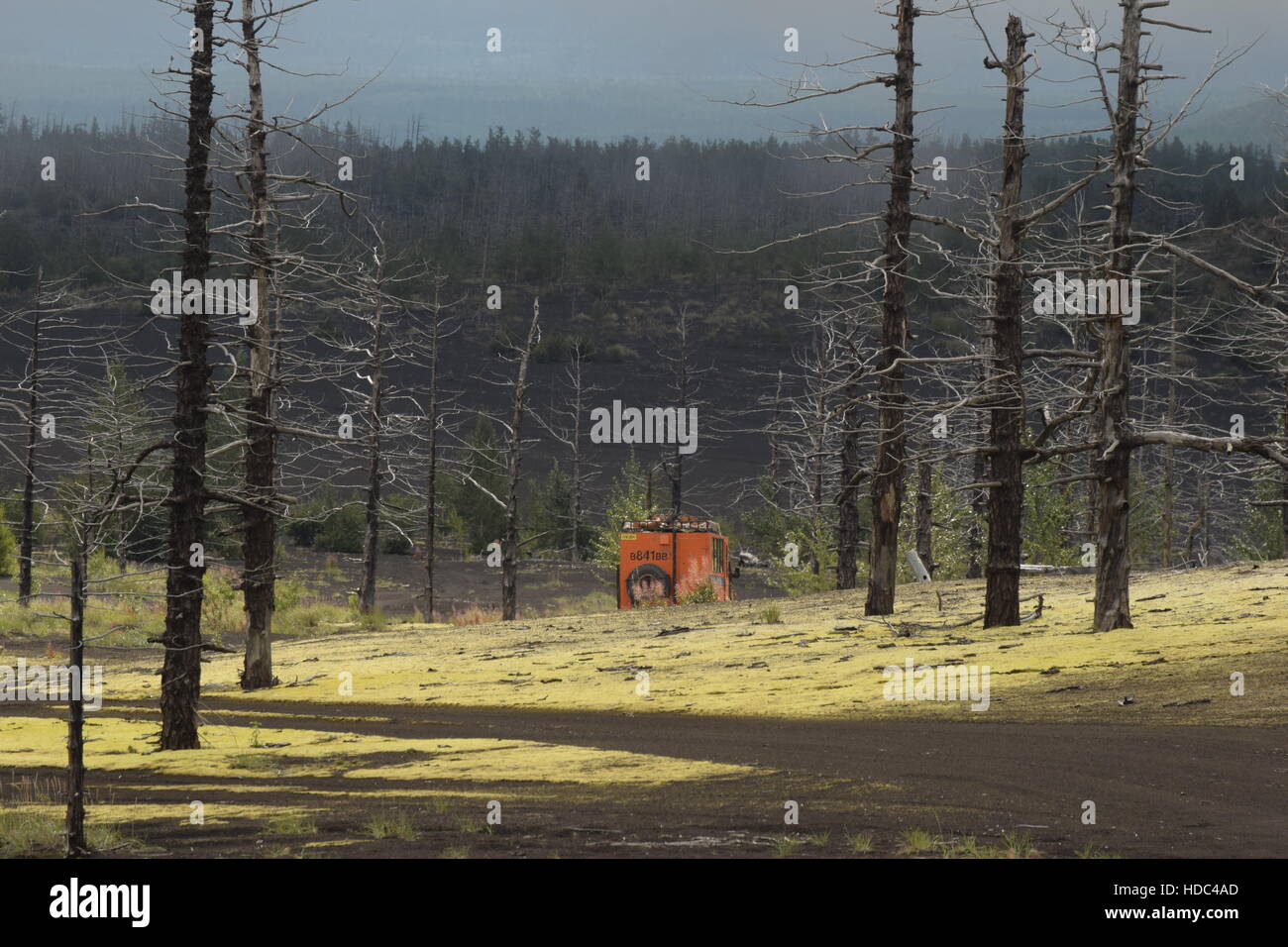 Penisola di kamchatka russia Foto Stock