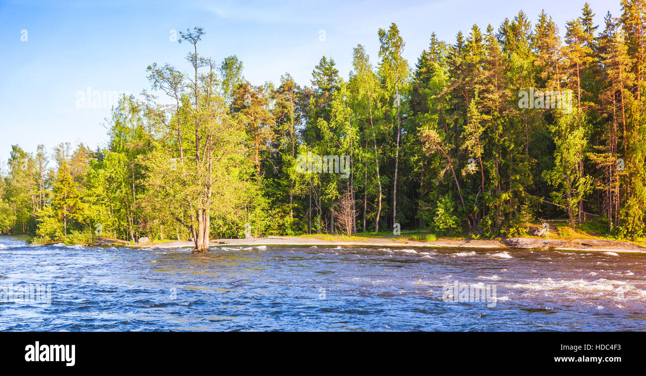 Foto naturale sfondo, paesaggio estivo con la foresta sul fiume costa, Kotka, in Finlandia Foto Stock