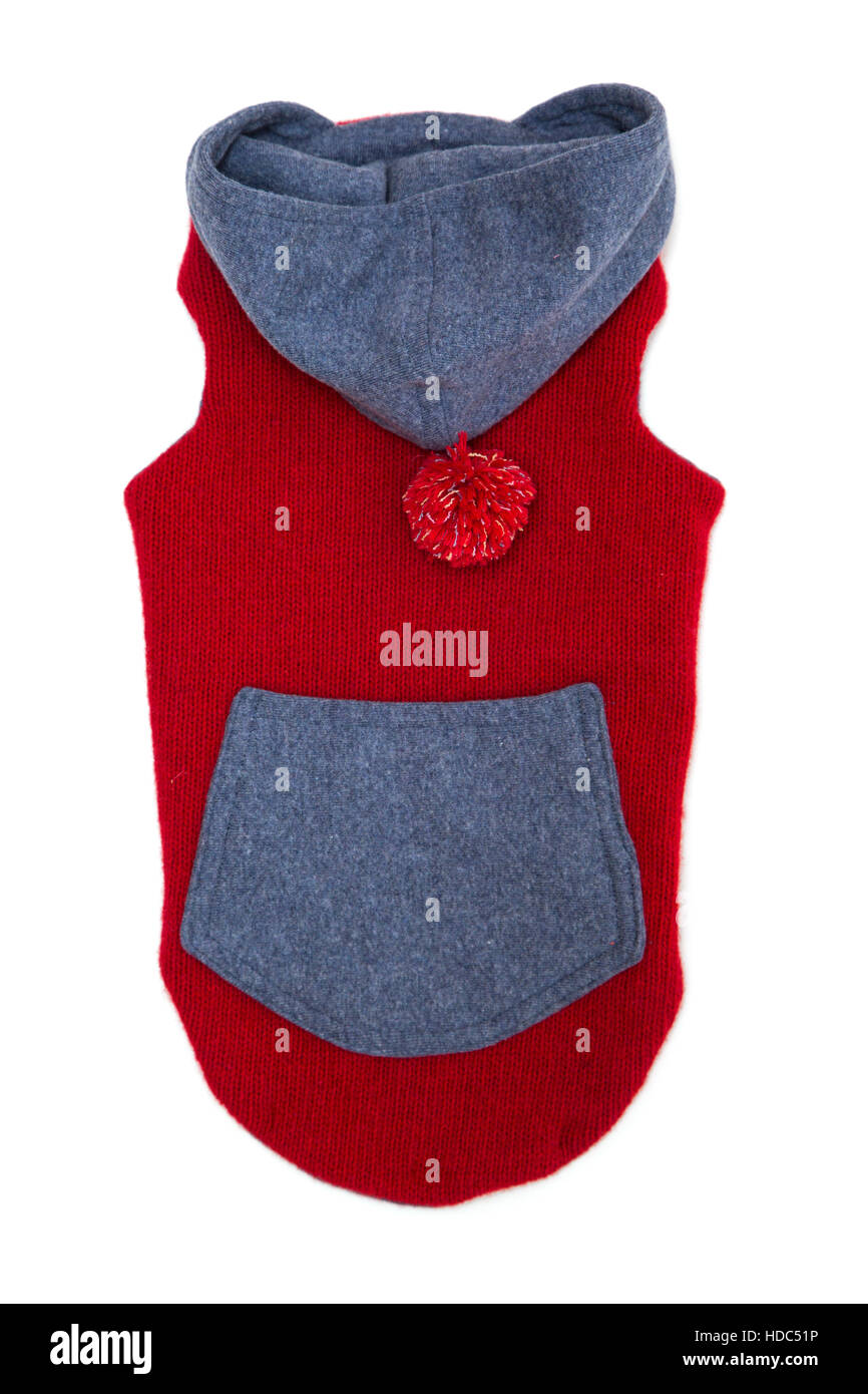 Singolo cane maglione isolare su bianco Foto Stock