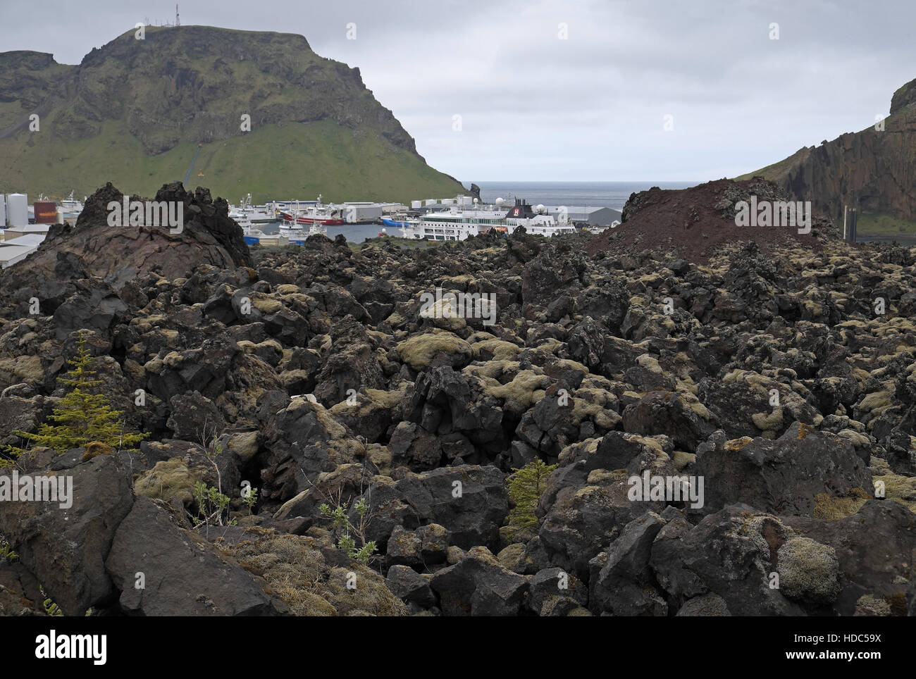 Il porto e la città di heimaey, visto sul campo lavico formata dall'eruzione di eldfell nel 1973, heimaey, Islanda. Foto Stock