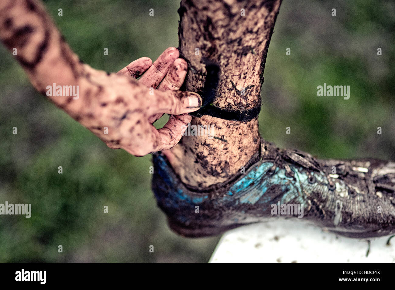 Un cross country runner rimuove il suo chip di distribuzione in condizioni fangose Foto Stock