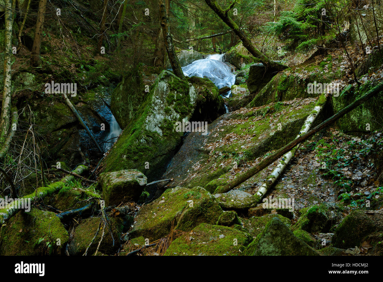 Ruscello di montagna in un bosco deserto con enormi rocce Foto Stock