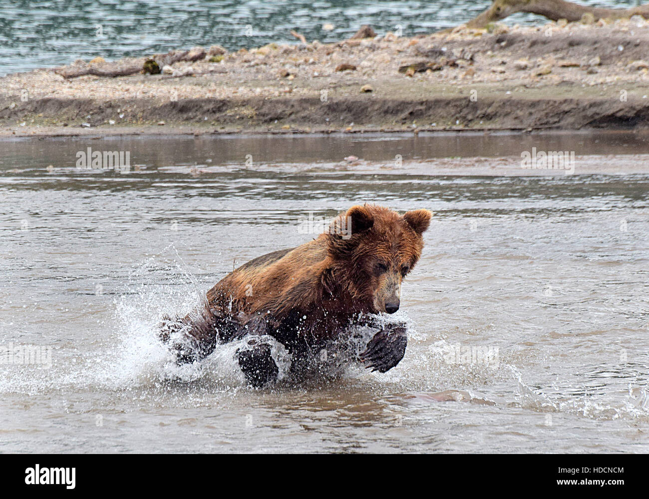 Penisola di kamchatka russia Foto Stock