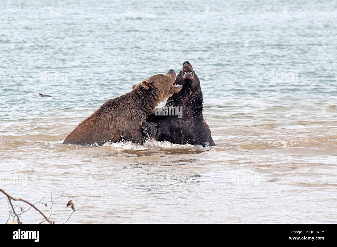 Penisola di kamchatka russia Foto Stock