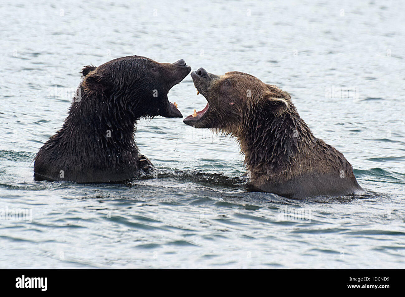 Penisola di kamchatka russia Foto Stock