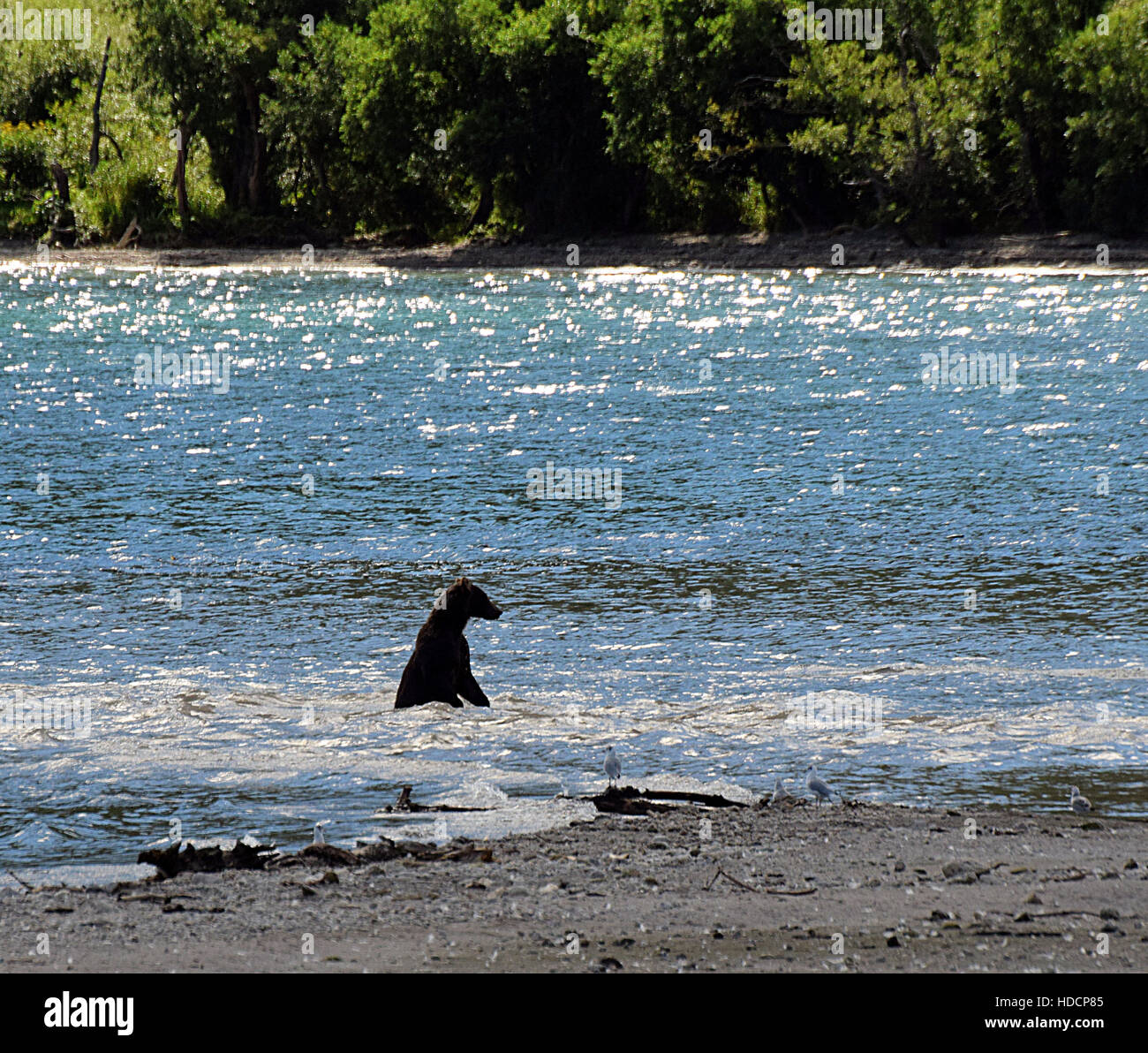 Penisola di kamchatka russia Foto Stock