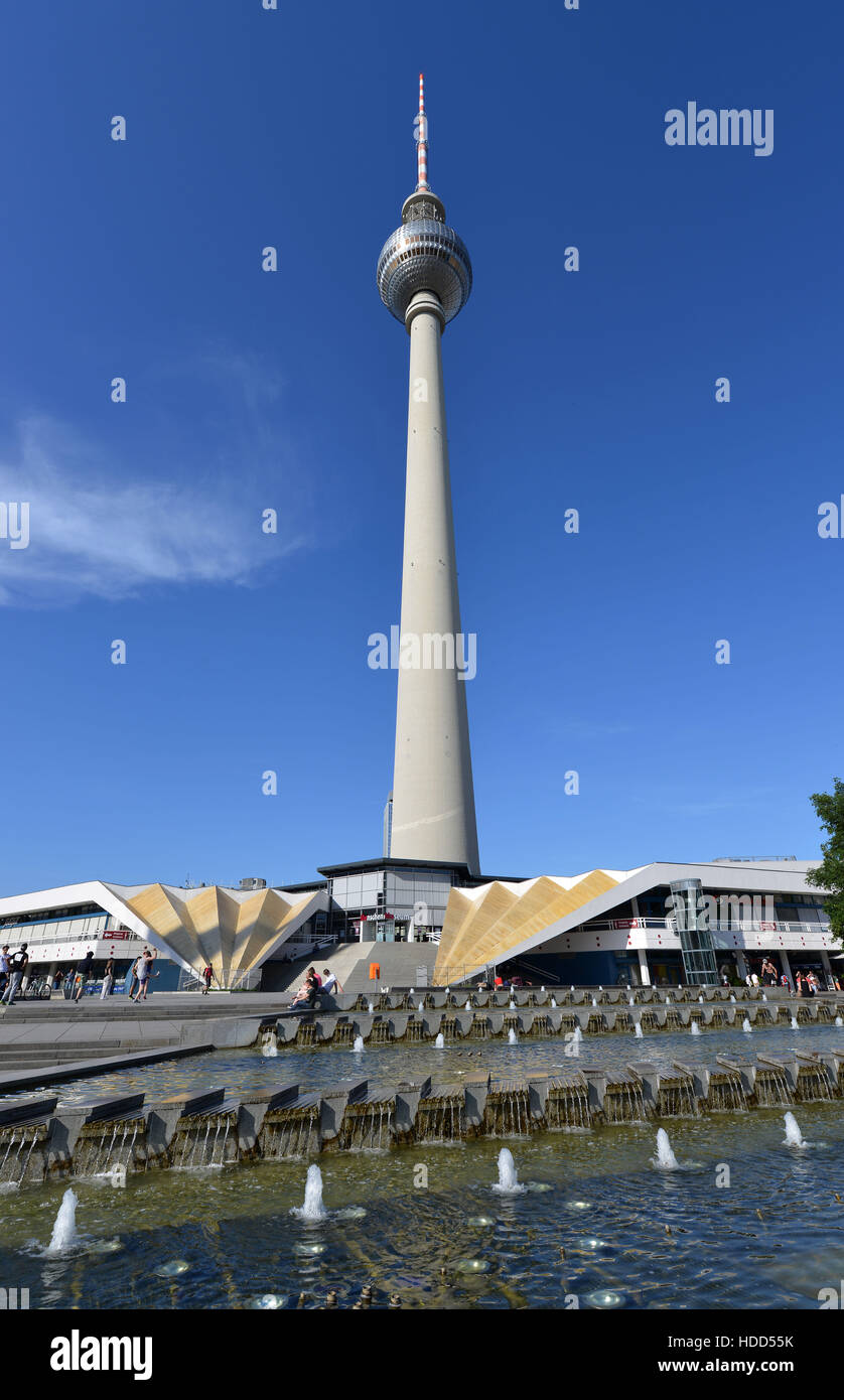 Fernsehturm, Panoramastrasse, nel quartiere Mitte di Berlino, Deutschland Foto Stock