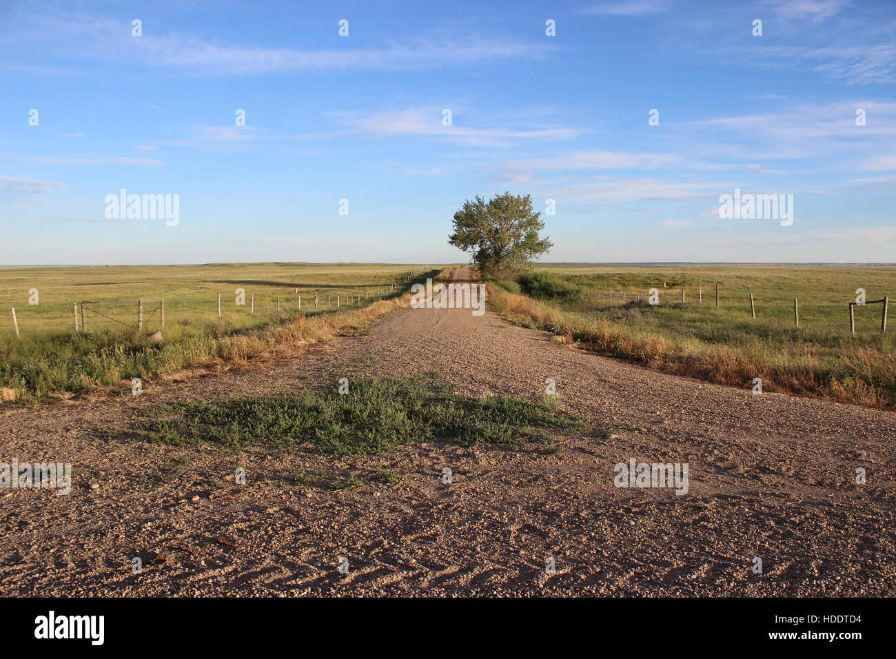 Le praterie del Parco Nazionale Foto Stock