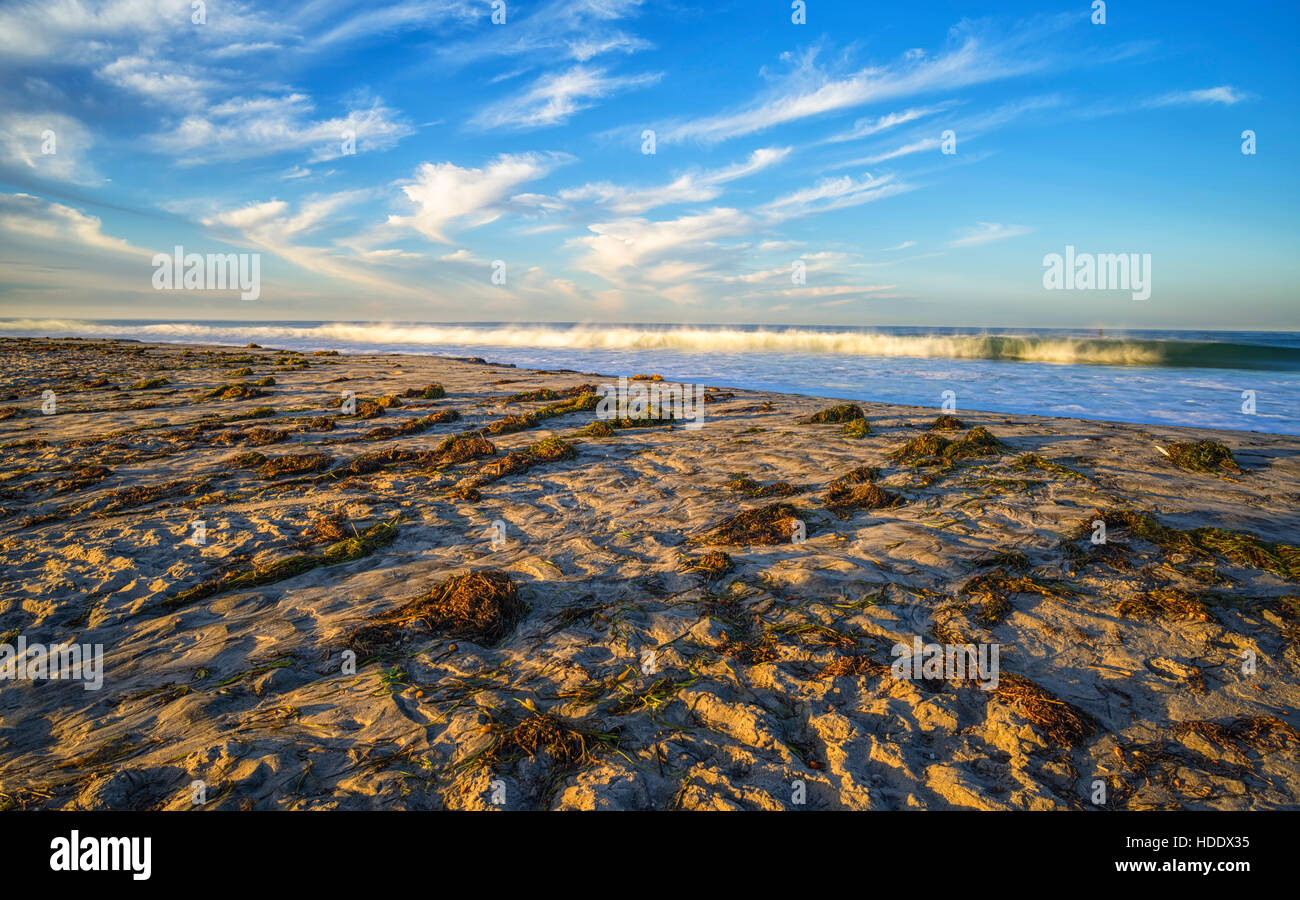 Ponto Spiaggia/South Carlsbad State Beach, Carlsbad, California, USA. Foto Stock