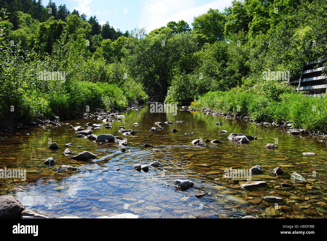 Una tranquilla insenatura di Fundy National Park, Canada Foto Stock