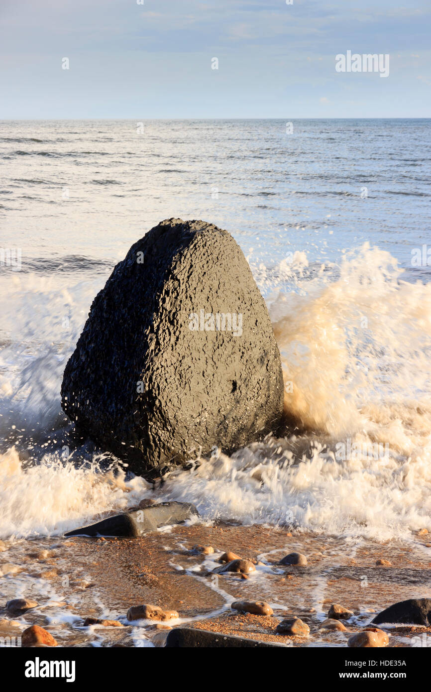 Wave lavato mudstone roccia erosa in una punzonata a forma di uovo su una spiaggia di Dorset Foto Stock