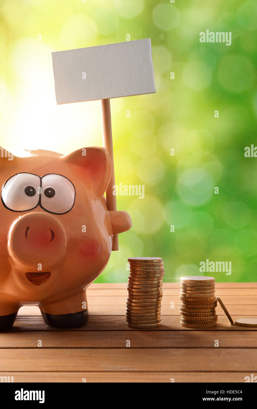 Concetto di risparmio con il salvadanaio e monete. Salvadanaio con vuoto billboard e denaro sul tavolo di legno e natura con sfondo bokeh di fondo. In verticale Foto Stock