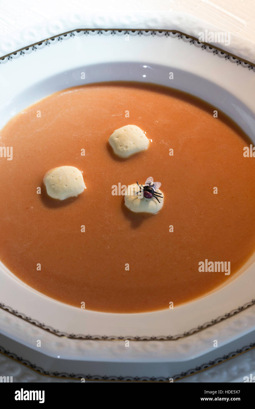 Un Housefly terre in una ciotola di zuppa di pomodoro Foto Stock