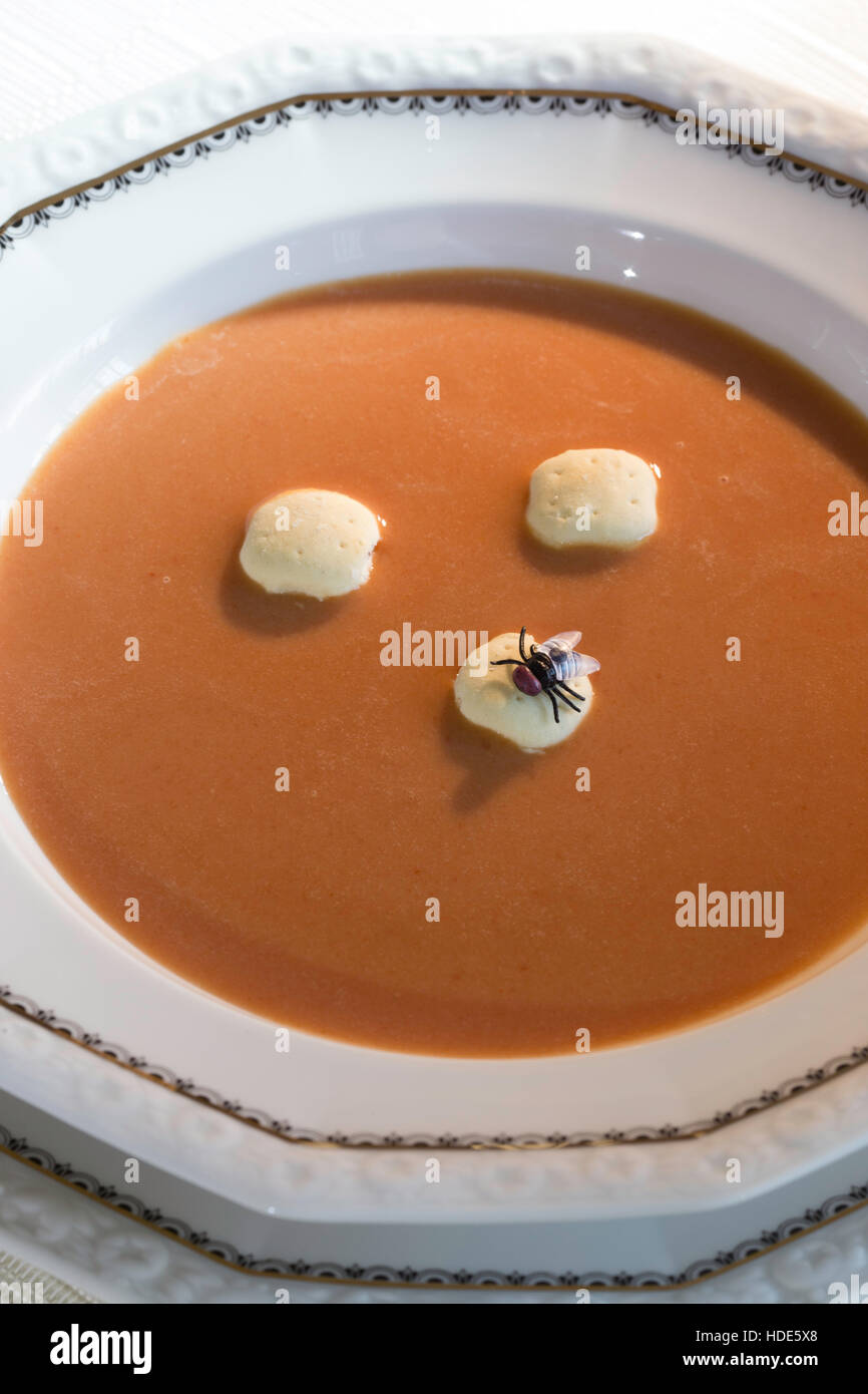 Un Housefly terre in una ciotola di zuppa di pomodoro Foto Stock