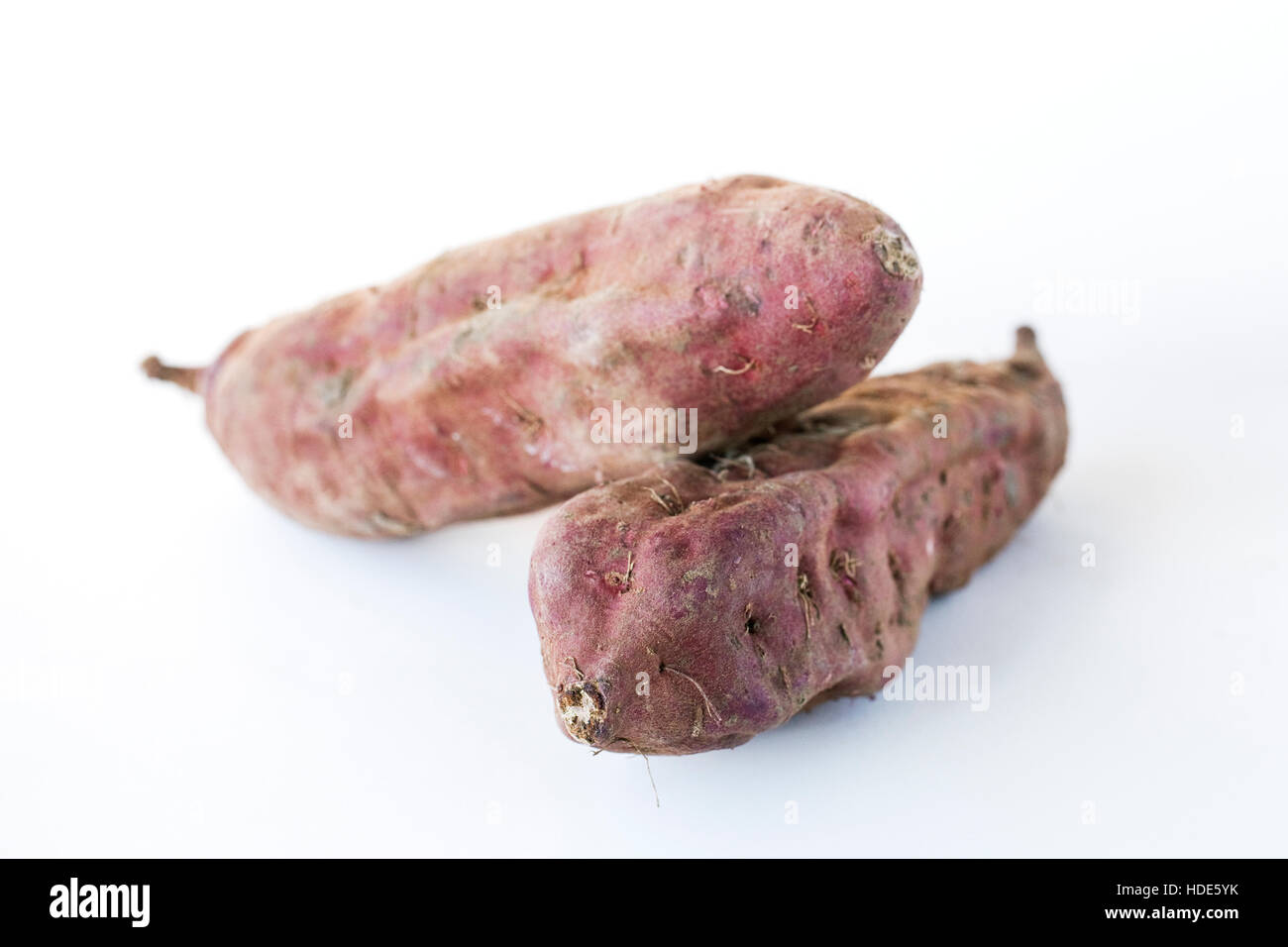 Ipomoea batatas. Due viola le patate dolci su uno sfondo bianco. Foto Stock