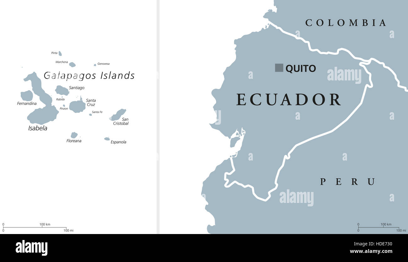 Ecuador mappa politico con capitale Quito e le isole Galapagos nell'Oceano Pacifico. Repubblica in Sud America. Foto Stock