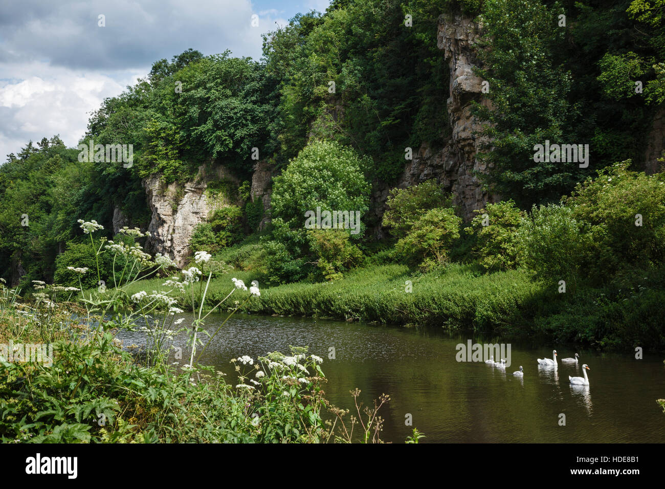 Creswell Crags, Derbyshire/Nottinghamshire, England, Regno Unito Foto Stock