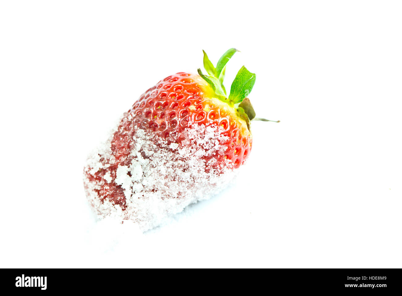 Delizioso giardino rosso fragola nel settore dello zucchero Foto Stock