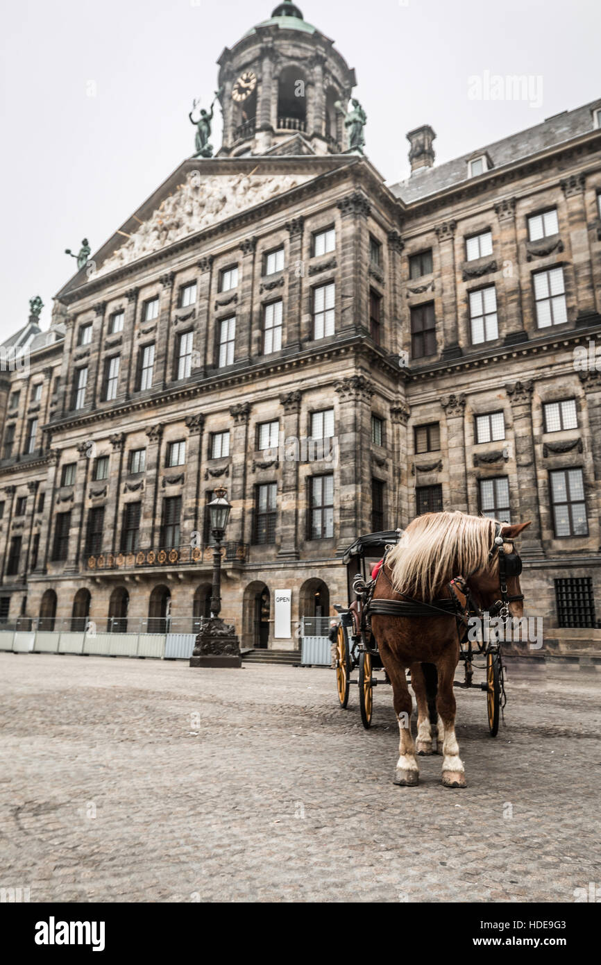 Piazza Dam in Amsterdam Foto Stock