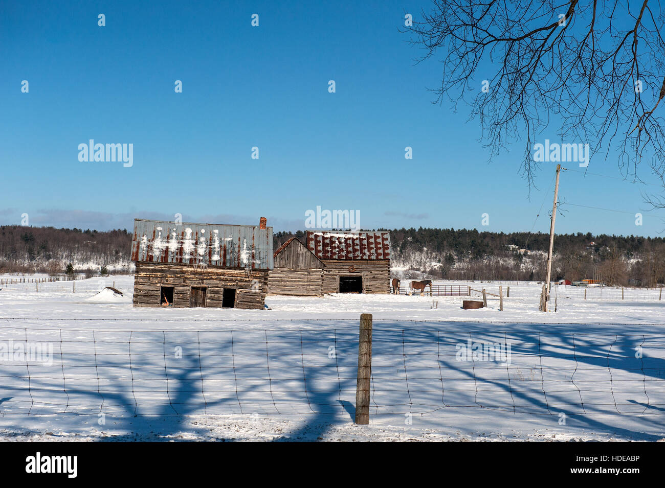 Storica fattoria in inverno Foto Stock