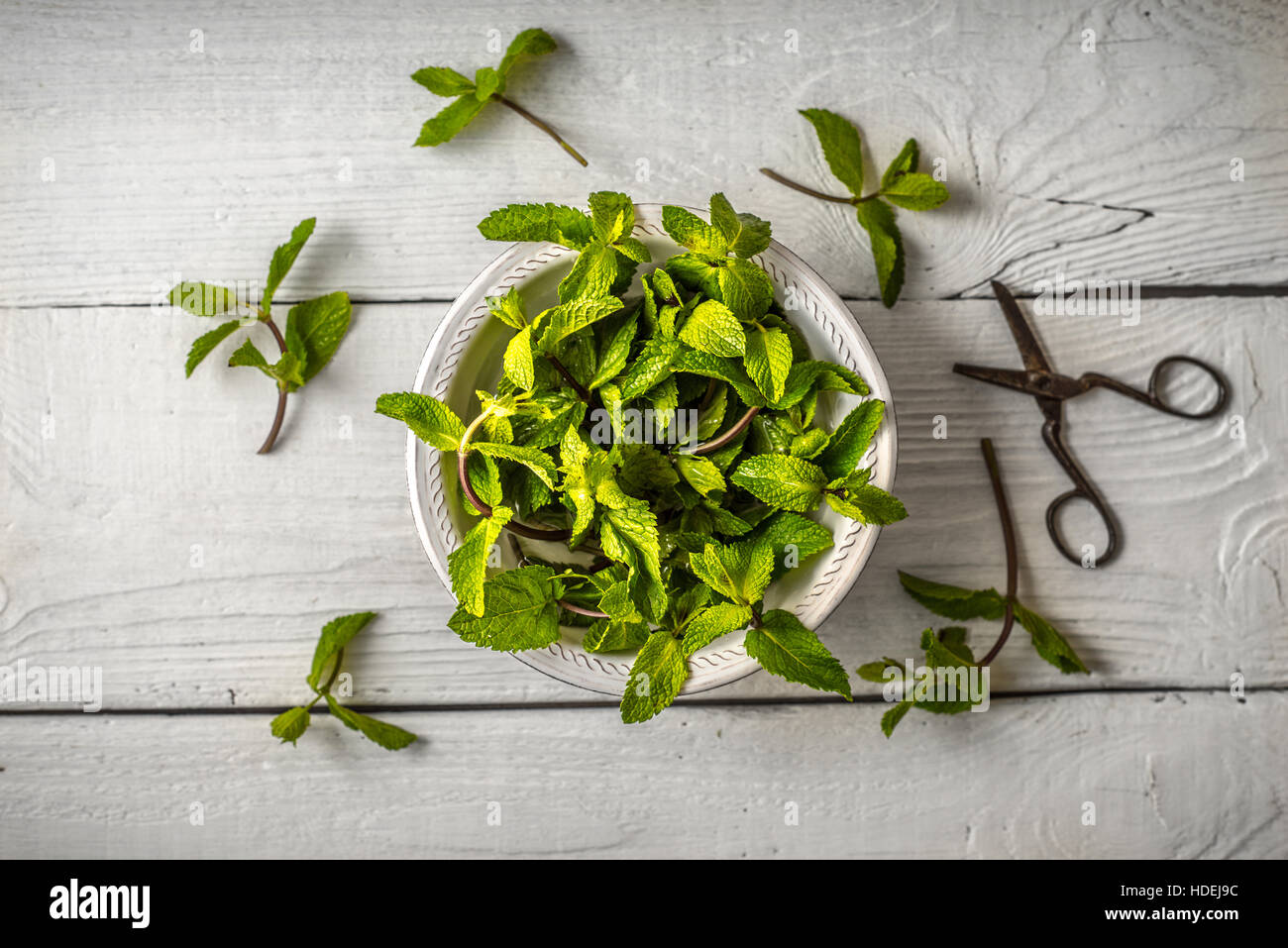 Composizione delle foglie di menta sul bianco tavolo in legno Foto Stock