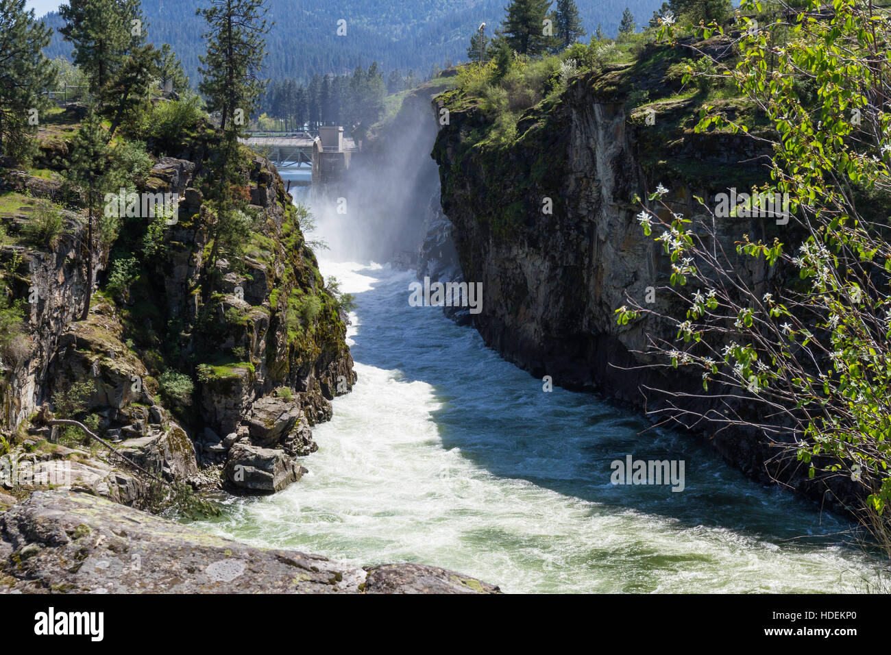 Famosa scena in Idaho settentrionale con fragore forma di acqua fiume Spokane attraverso la diga in primavera Foto Stock