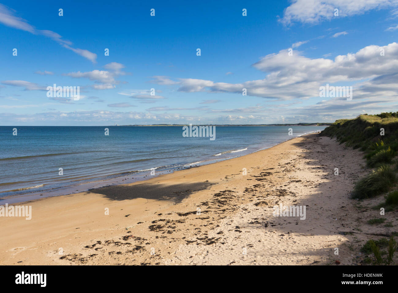 Duridge bay, Northumberland. Guardando verso sud da vicino Duridge Bay country park verso la lontana fattoria eolica presso Lynemouth. Foto Stock