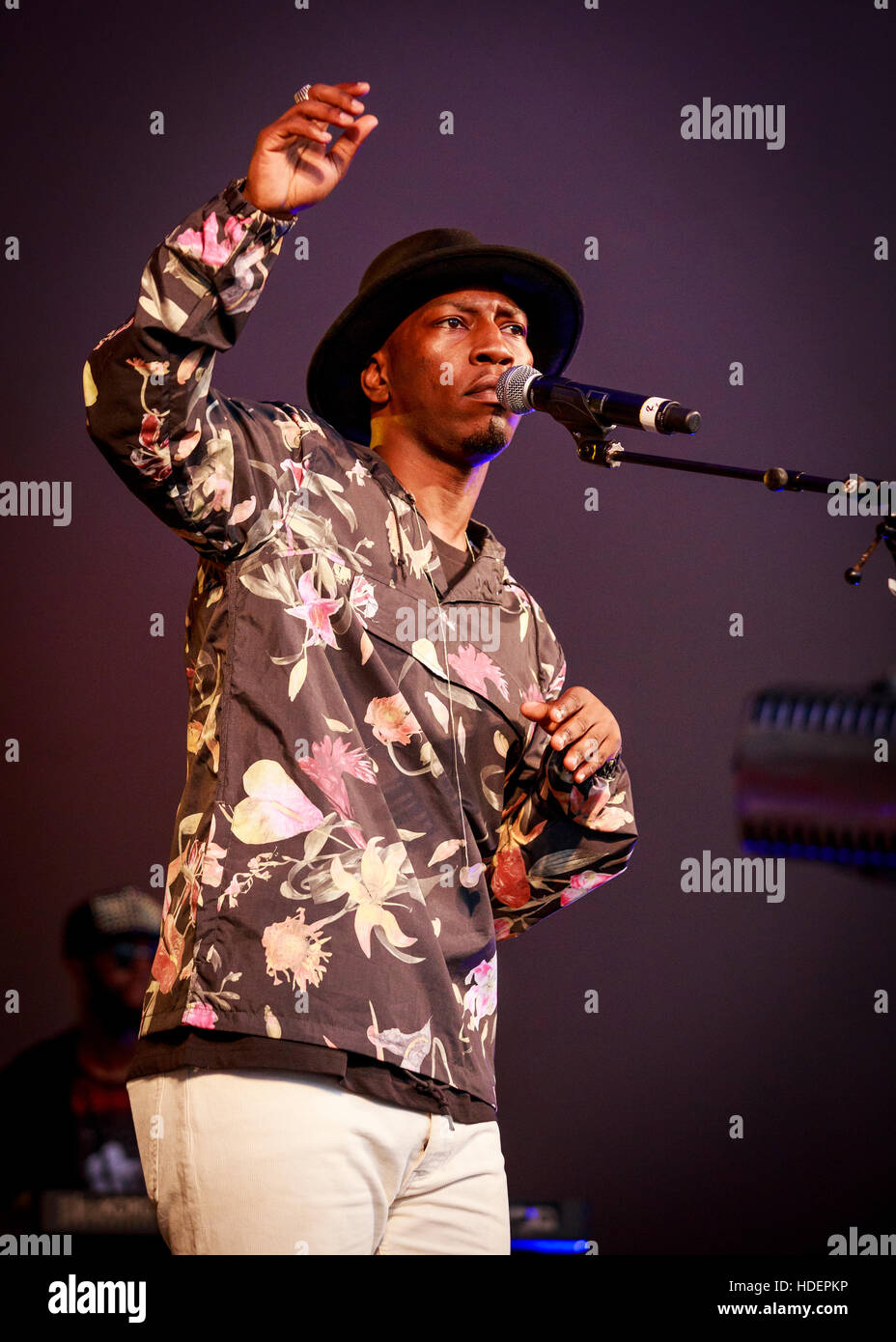 Tiggs da autore, Villaggio Verde Musica e Arts Festival, Southend-on-Sea, Essex © Clarissa Debenham / Alamy Foto Stock