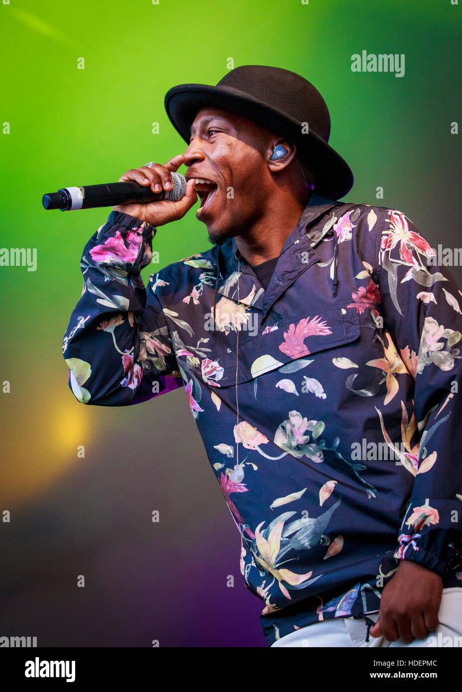 Tiggs da autore, Villaggio Verde Musica e Arts Festival, Southend-on-Sea, Essex © Clarissa Debenham / Alamy Foto Stock