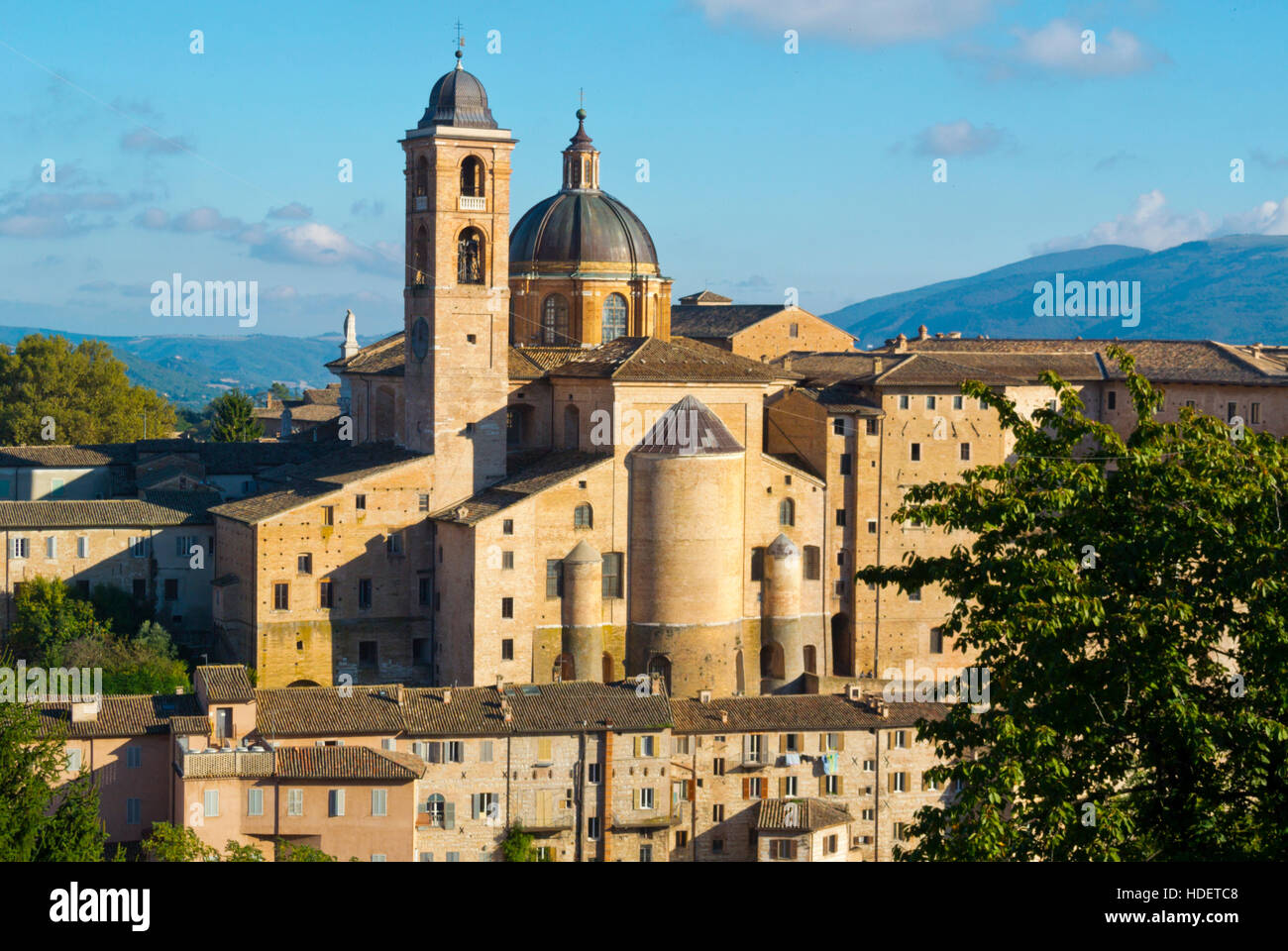 Vista che domina il centro storico con il Palazzo Ducale e Piazza Duomo, Urbino, Marche, Italia Foto Stock