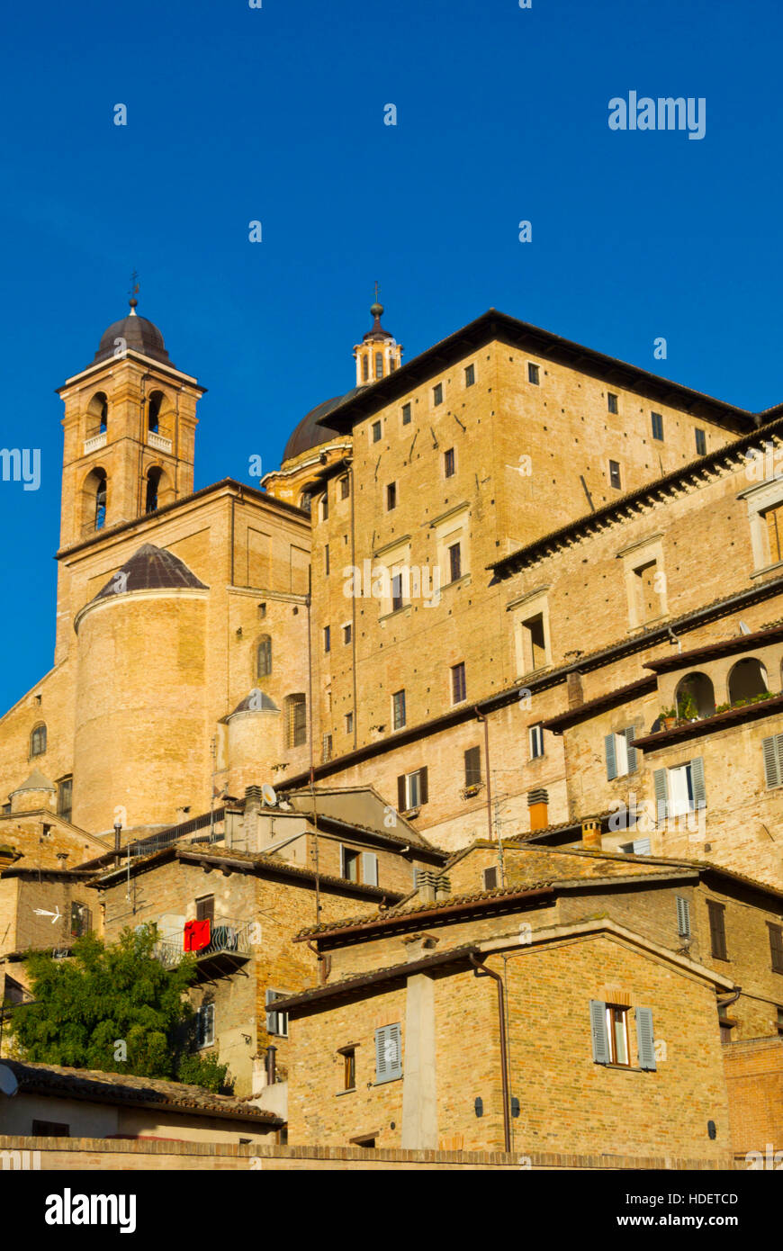 Duomo, case residenziali ed altri edifici, centro storico, Urbino, Marche, Italia Foto Stock