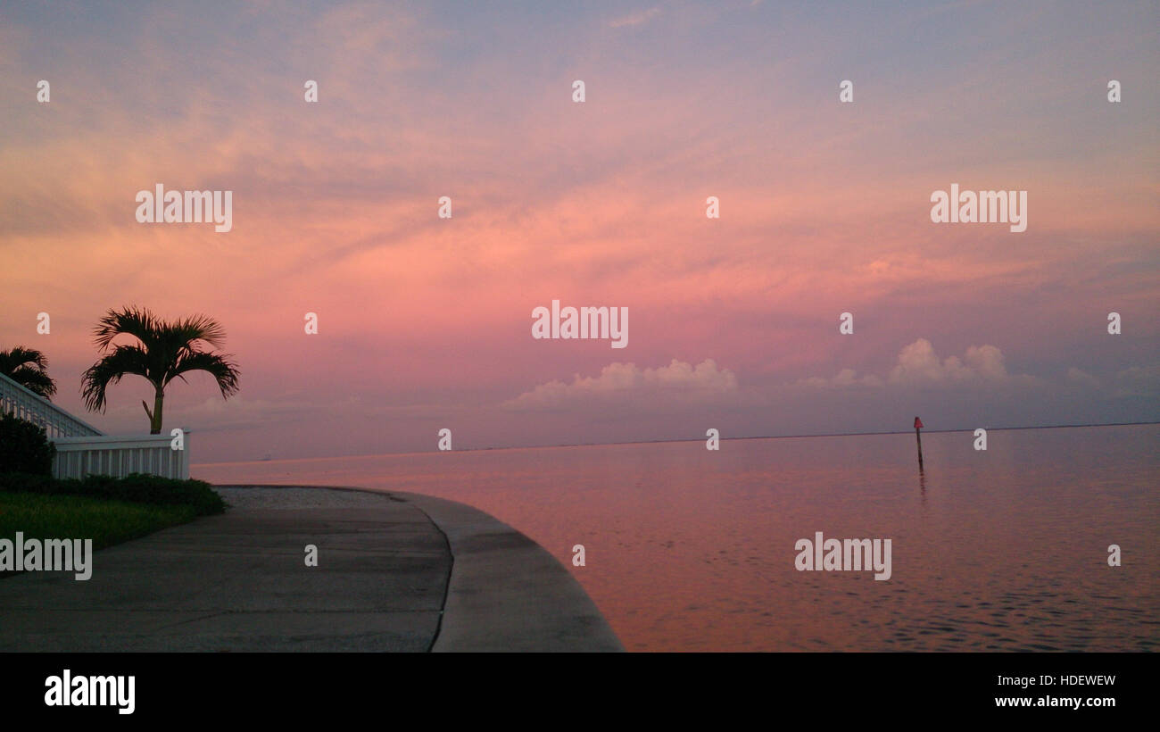 Guardando indietro su Tampa Bay al tramonto. Foto Stock