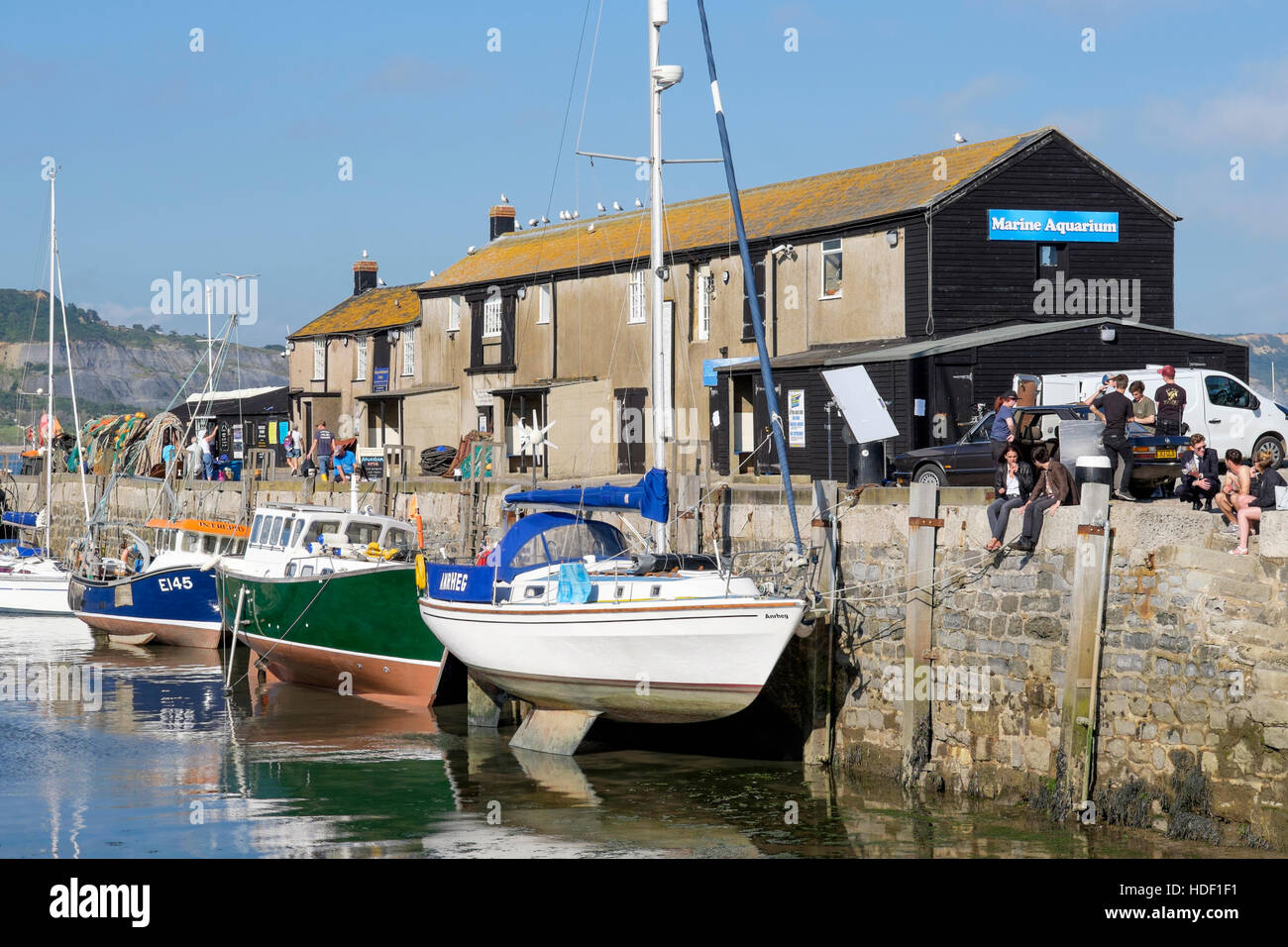 Il Marine Aquarium, il Cobb, Lyme Regis, Dorset, England, Regno Unito Foto Stock