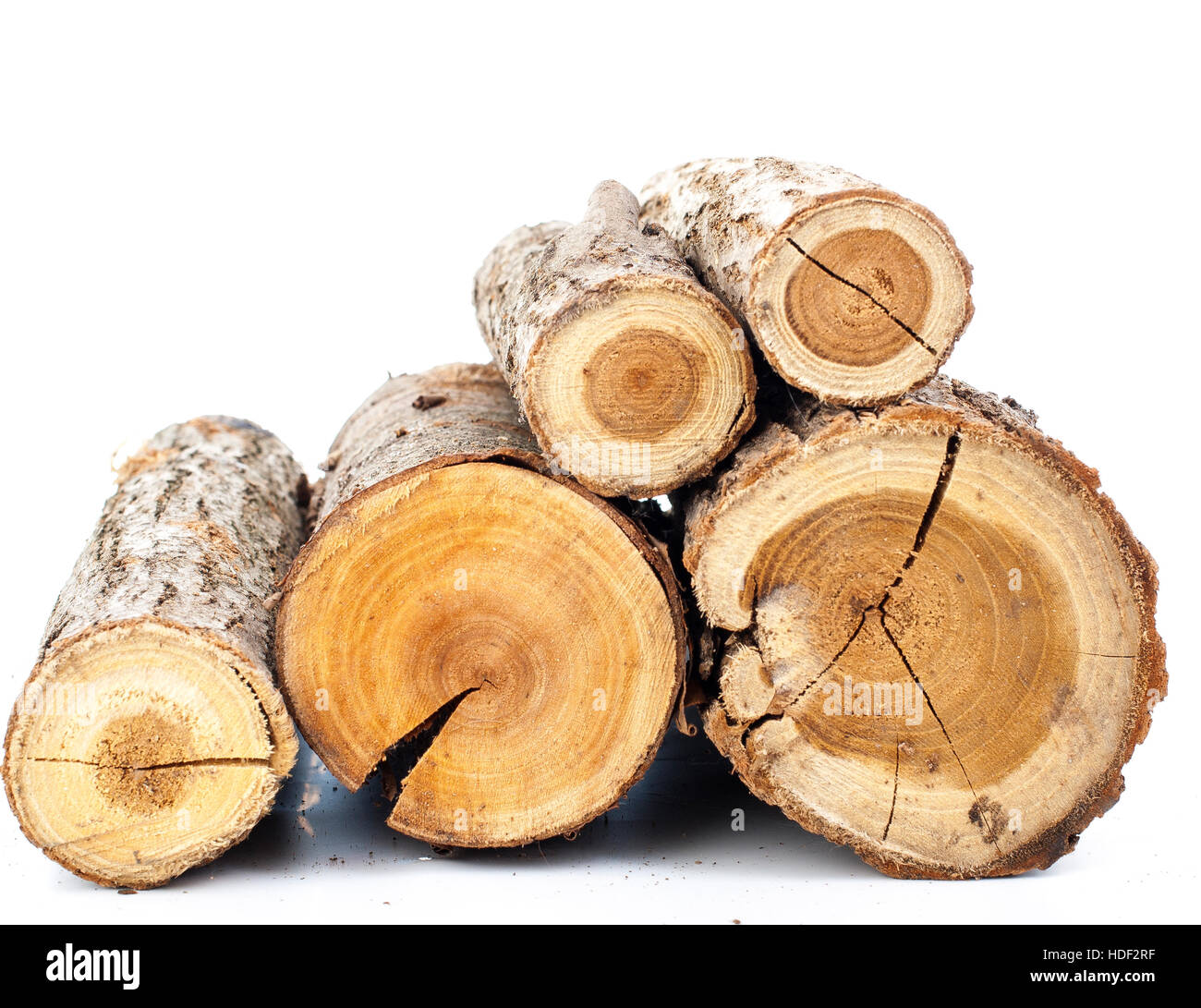 I registri di pino su sfondo bianco. Studio foto. Spaccare la legna. Albero di quercia per il periodo invernale riscaldamento. Sezione di tronco di albero.Legna da ardere pronto per la masterizzazione Foto Stock