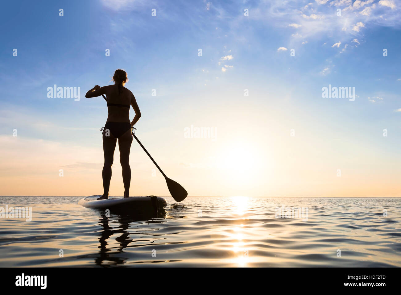 Ragazza stand up paddle boarding (sup) sul mare tranquillo al tramonto Foto Stock