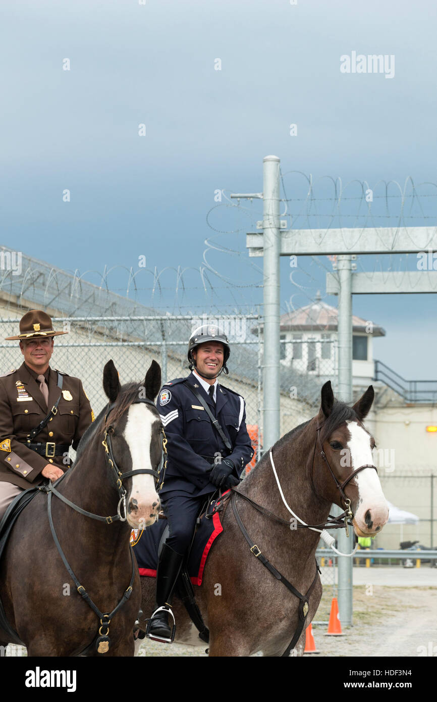Montato a cavallo di polizia Kingston Ontario Canada Foto Stock