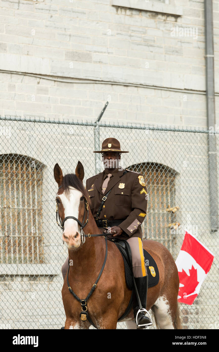 Montato a cavallo di polizia Kingston Ontario Canada Foto Stock