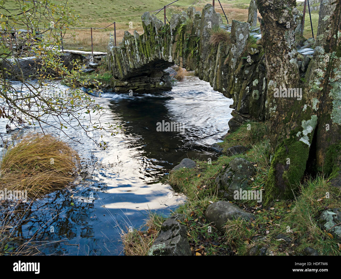 Vecchia pietra ardesia, packhorse bridge, Slaters Bridge, oltre il Fiume Brathay, Little Langdale, Cumbria, Regno Unito. Foto Stock