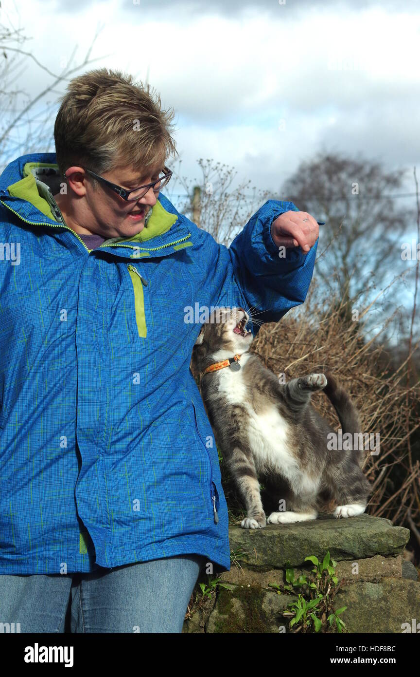 Gattara pazza Foto Stock