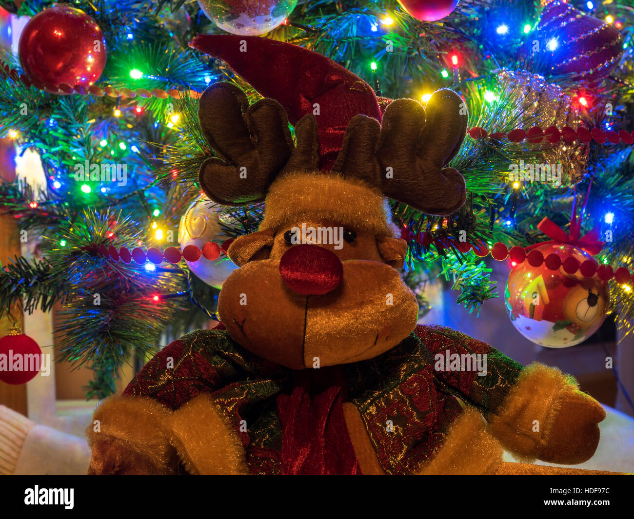 Divertenti ripieni di renne su albero di Natale sfondo con luci Foto Stock