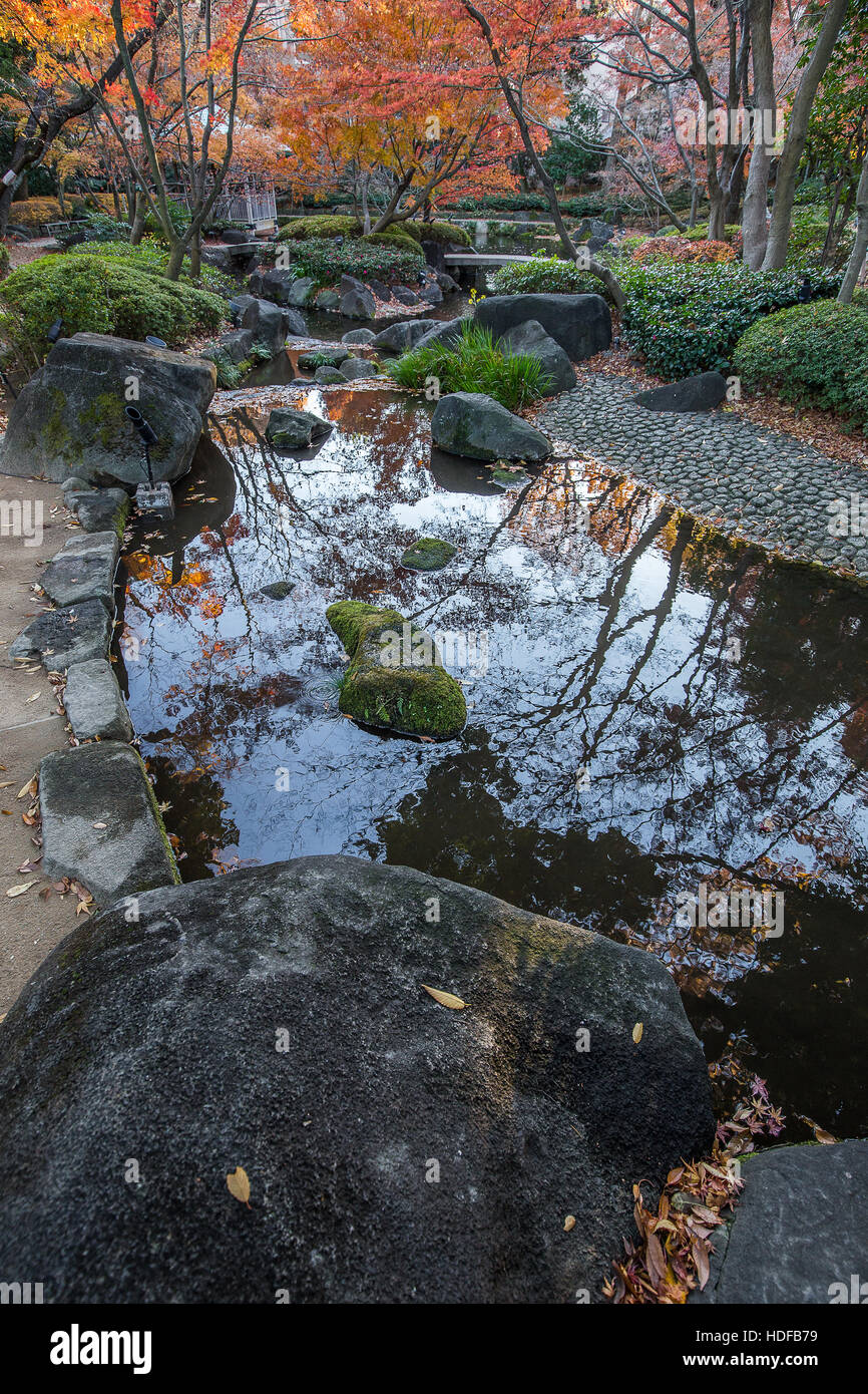 Giardino Otaguro faceva parte una volta che la station wagon di Moto Otaguro, il giardino è famoso per i suoi alberi di gingko e giardino di stagno Foto Stock