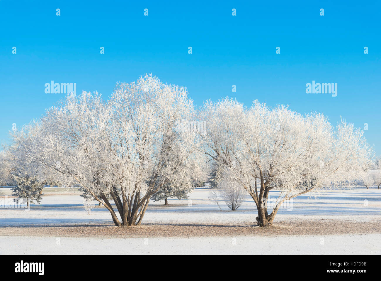 Giornata fredda Foto Stock