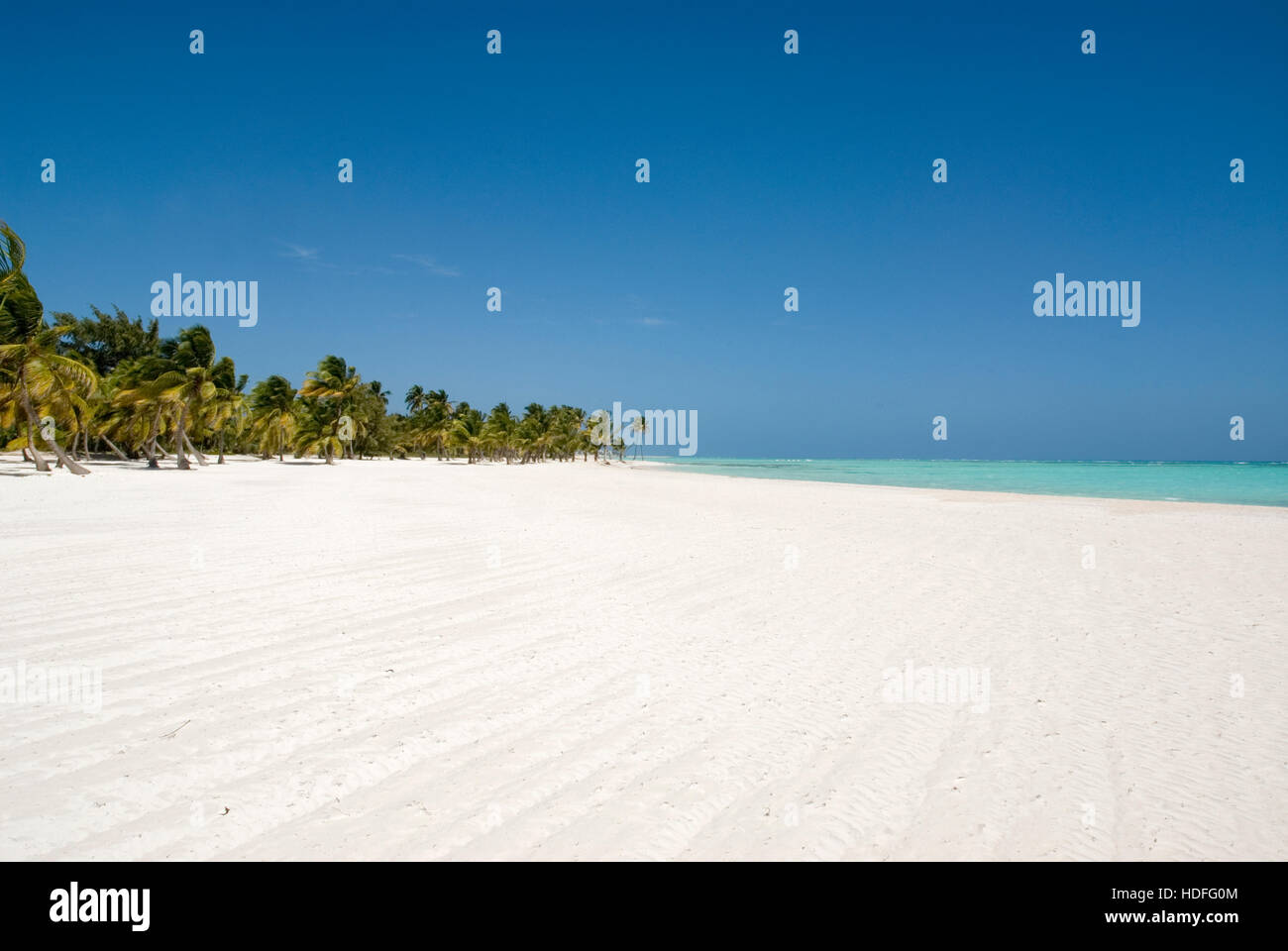 Palme e spiaggia di Punta Cana, Repubblica Dominicana, America Centrale Foto Stock
