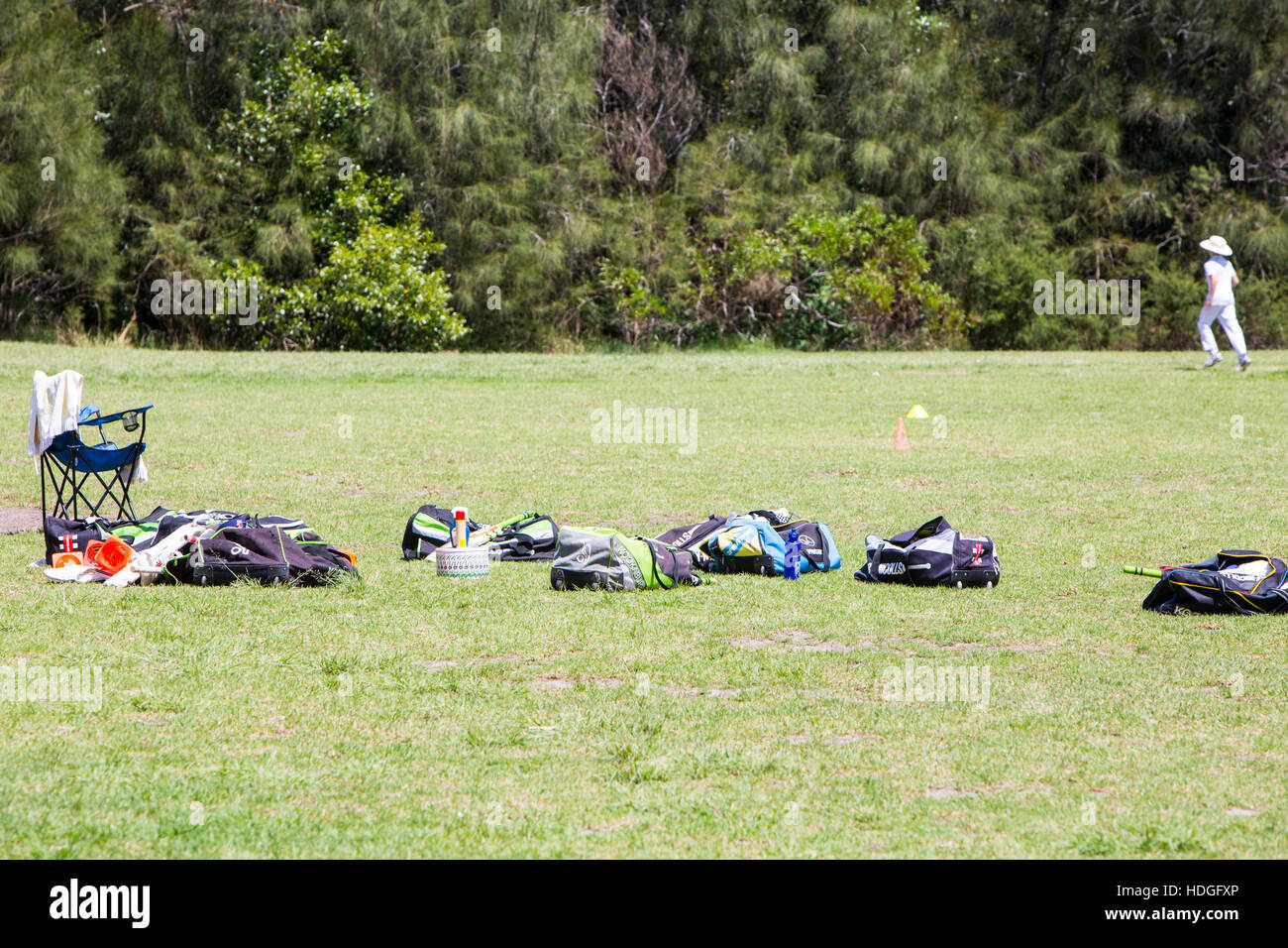 Ragazzi partita di cricket di Sydney , Australia Foto Stock